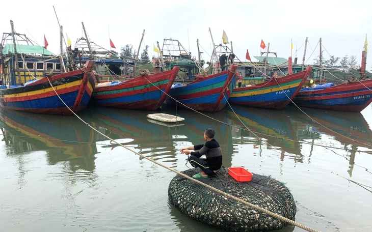 Gió bão số 5 nguy hiểm không kém bão Yagi - Ảnh 2.