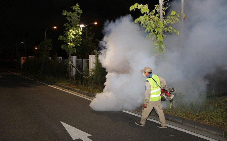 TP.HCM: Phường Dĩ An phát động chiến dịch phòng bệnh sốt xuất huyết và bệnh Chikungunya - Ảnh 3.