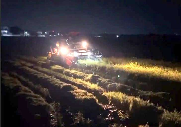 Nông dân Quảng Trị xuyên đêm gặt lúa 'chạy' bão số 5 - Ảnh 1.