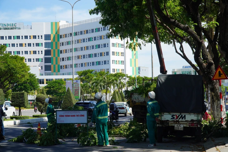 Bão số 5 - Ảnh 2.