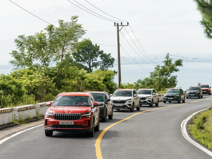 Skoda - Ảnh 6.