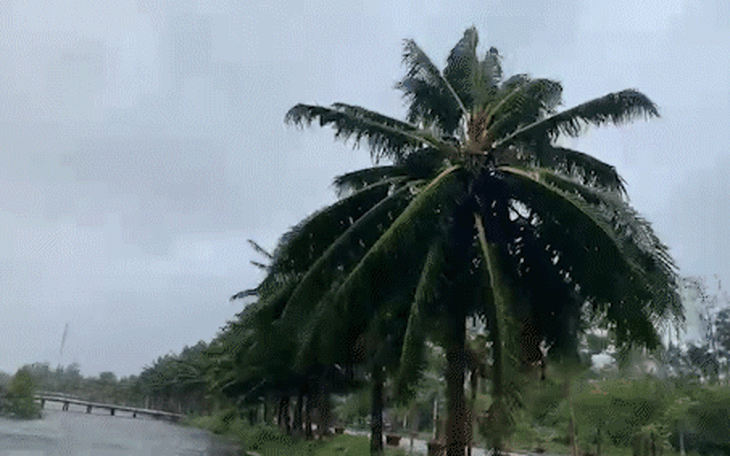 Công an dẫn đường đưa sản phụ ở Vũng Áng đi sinh trong bão số 5 - Ảnh 4.