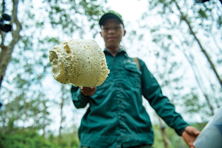 Dòng nhựa trắng đổi thay nương rẫy - Ảnh 6.