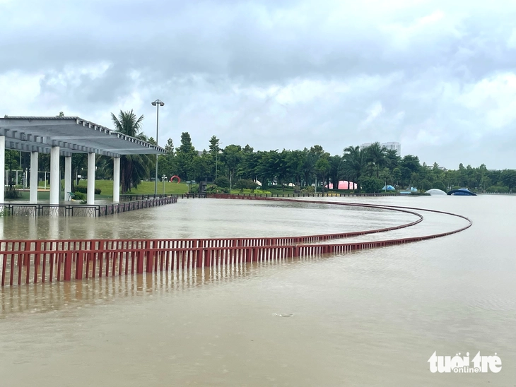 mưa lớn - Ảnh 4.