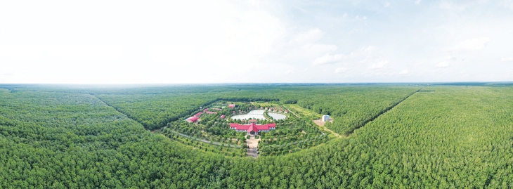  Chuyển đổi xanh là 'chìa khóa' vươn tầm thế giới - Ảnh 1.