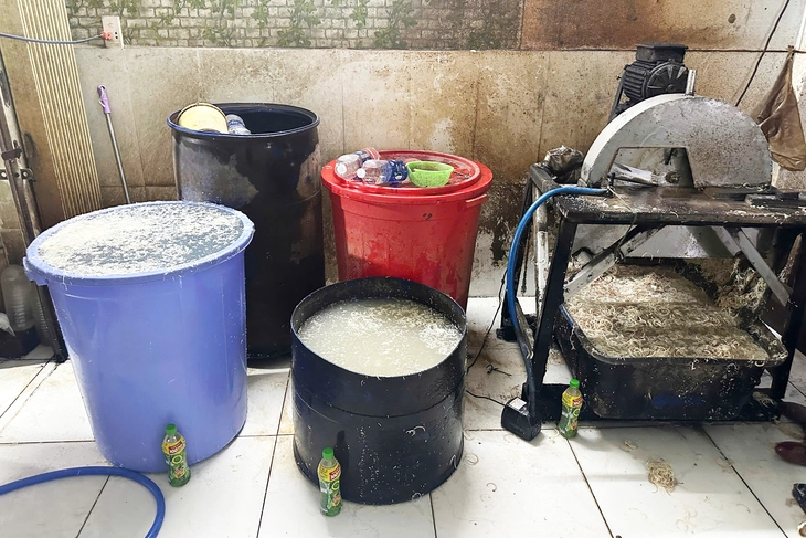 tẩy trắng - Ảnh 3.