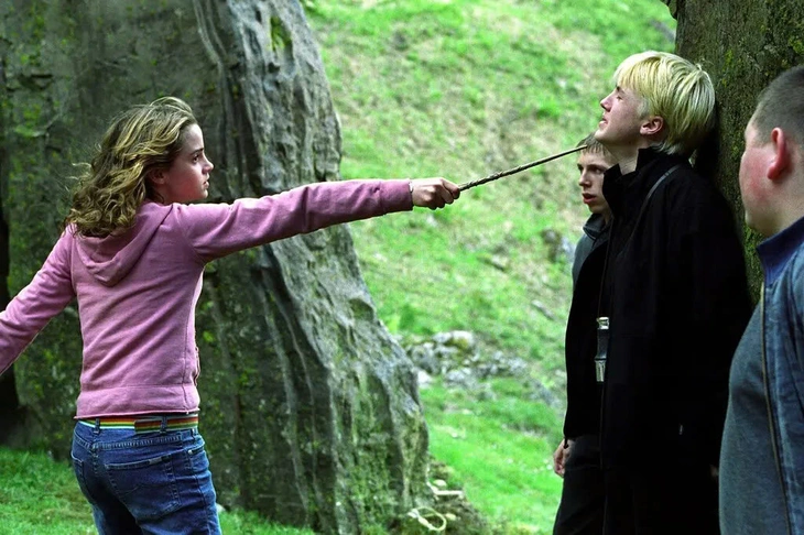 Harry Potter - Ảnh 1.