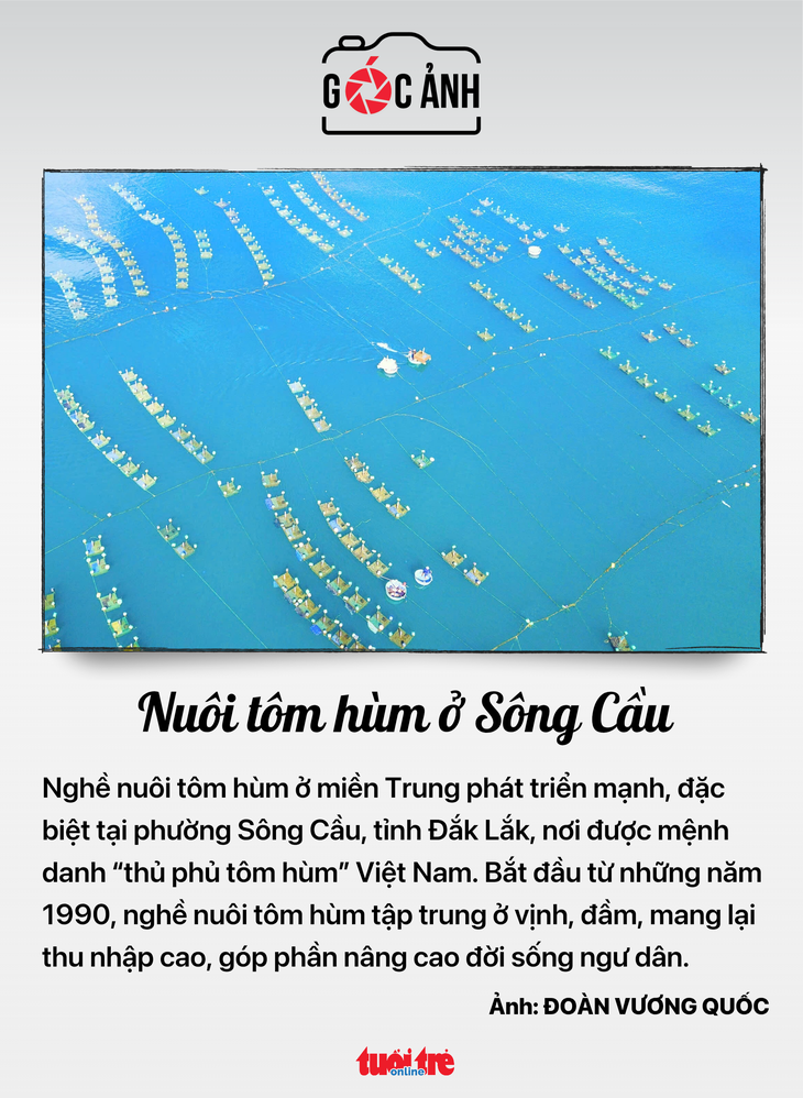 tin tức - Ảnh 9.
