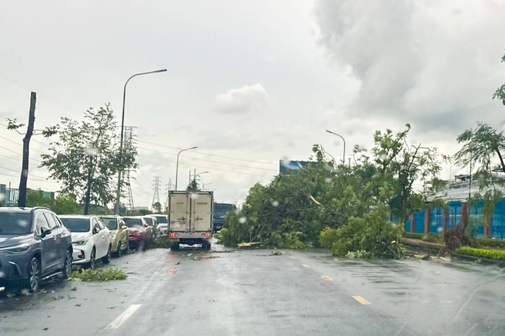 Lốc xoáy kinh hoàng ở Bắc Ninh, nhiều tấm tôn bay vút lên trời - Ảnh 3.