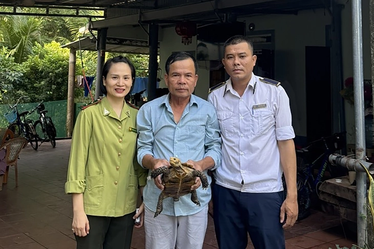 rùa núi - Ảnh 1.