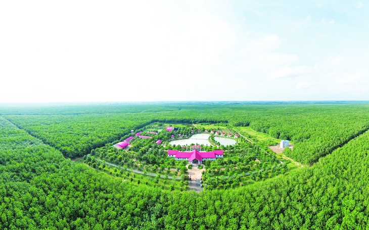 Tập đoàn công nghiệp Cao su Việt Nam đặt mục tiêu doanh thu hơn 33.400 tỉ đồng năm 2026 - Ảnh 5.