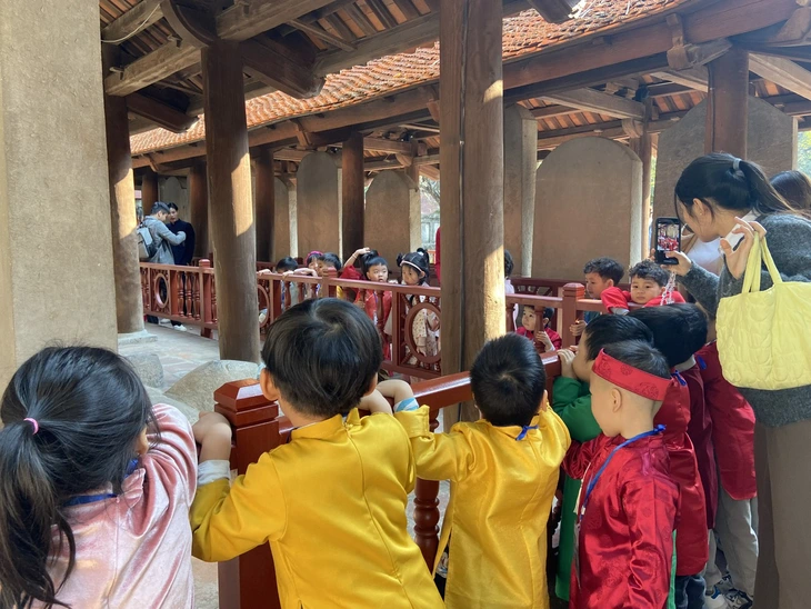 Giá vé tham quan di tích: Người dân trong nước phải được ưu tiên - Ảnh 6. Vé tham quan - Ảnh 3.