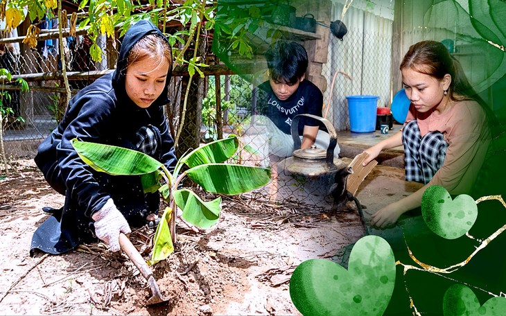Hơn 37.000 trẻ mồ côi có 'mẹ đỡ đầu' - Ảnh 5.