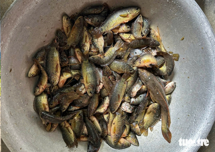 Quảng Trị - Ảnh 5.