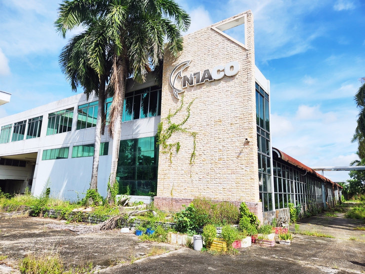 Trúng đấu giá tài sản 'chưa sạch', doanh nghiệp điêu đứng 3 năm - Ảnh 1. đấu giá - Ảnh 1.