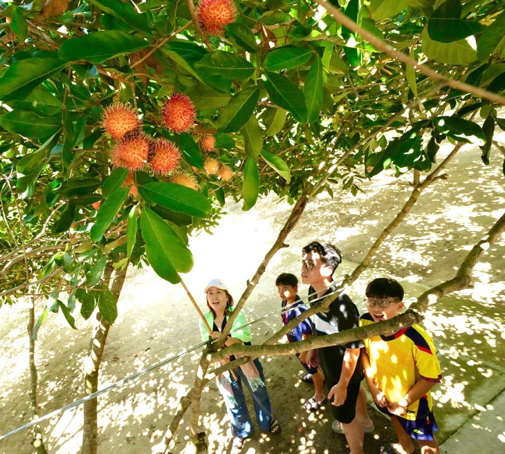 Lâm Sơn tổ chức lễ hội trái cây, ẩm thực chào mừng Quốc khánh - Ảnh 2.