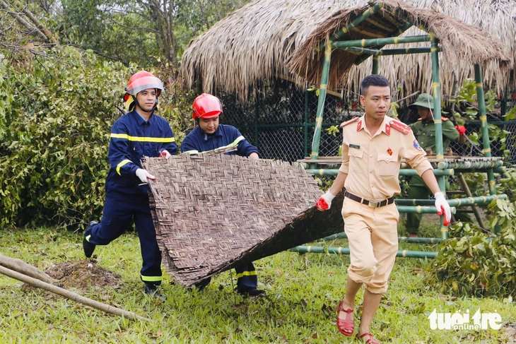 pháo hoa - Ảnh 1.