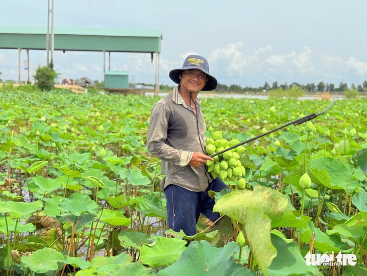 mùa nước nổi - Ảnh 5.