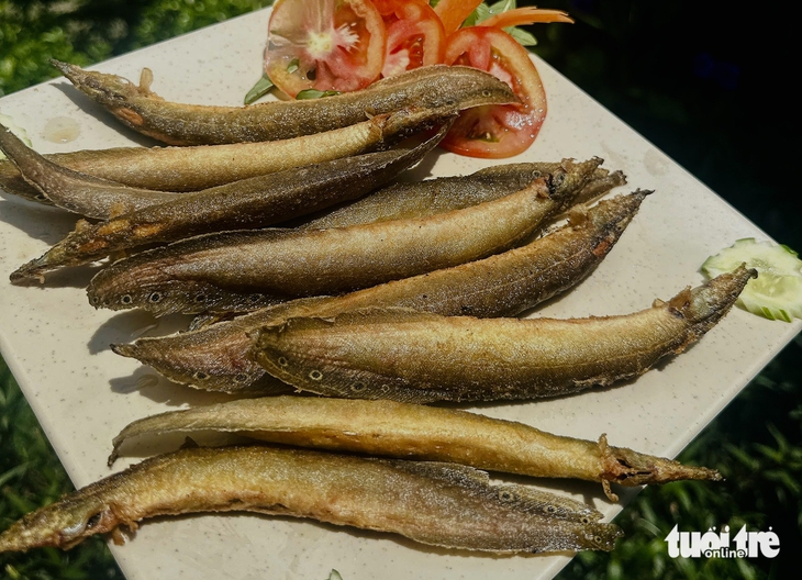 mùa nước nổi - Ảnh 10.