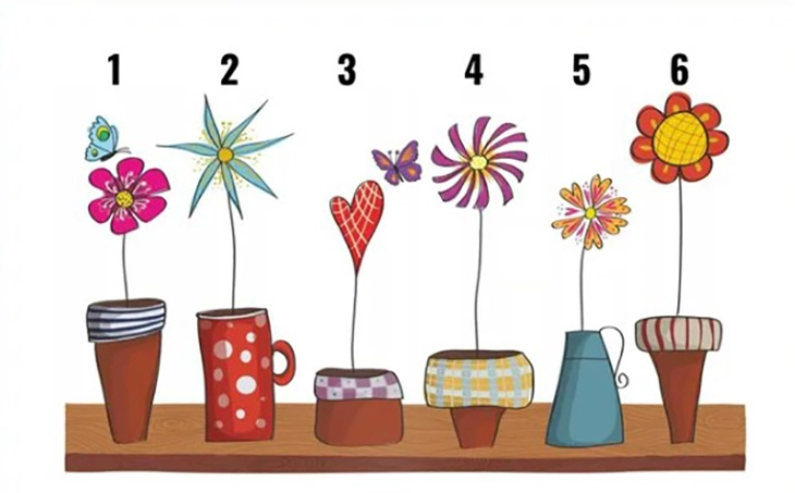 quiz - Ảnh 1.