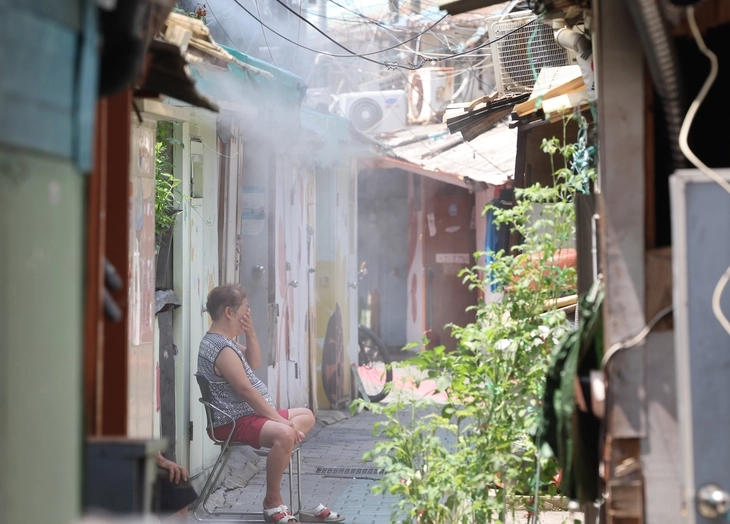 hộ gia đình độc thân - Ảnh 1.