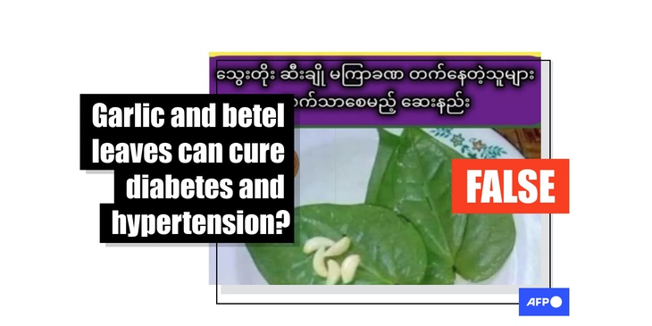 Chuyên gia bác tin tỏi và lá trầu không thể chữa tiểu đường và cao huyết áp - Ảnh 1. tiểu đường - Ảnh 1.