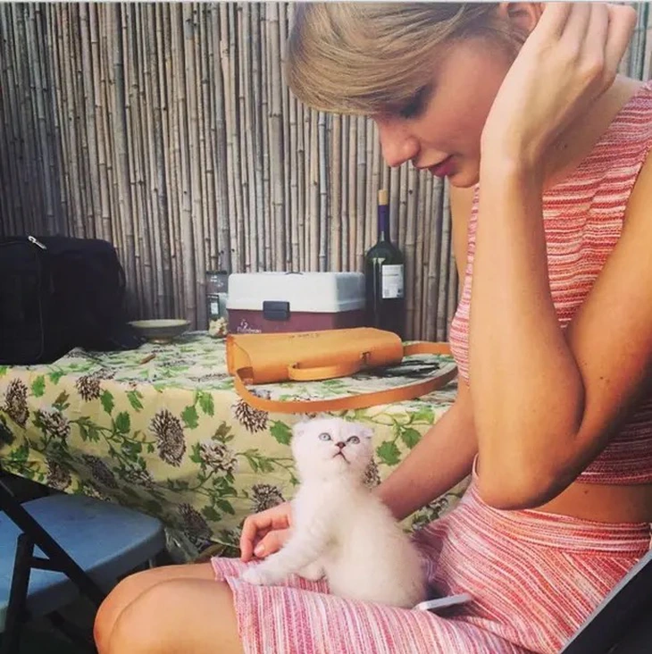 Chồng sắp cưới thua xa mèo cưng của Taylor Swift về tài sản - Ảnh 6.