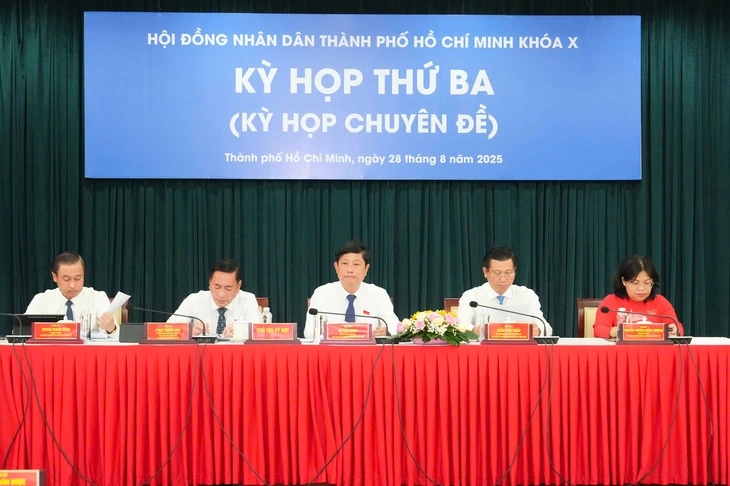 TP.HCM - Ảnh 1.