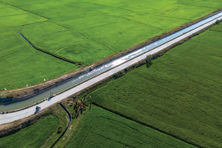 phát triển - Ảnh 3.