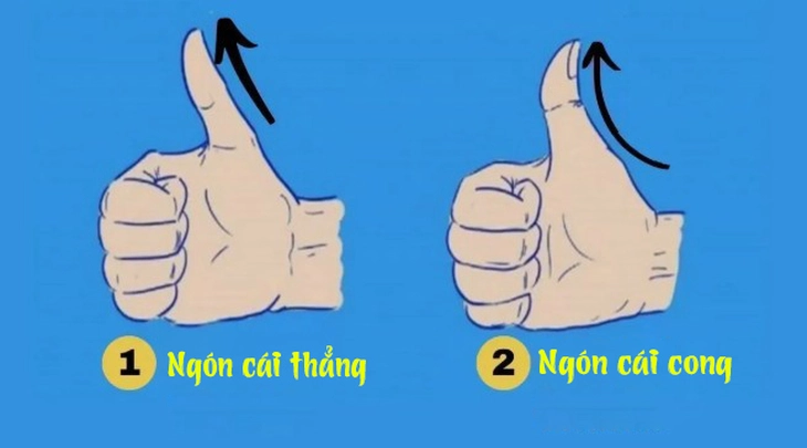 quiz - Ảnh 1.