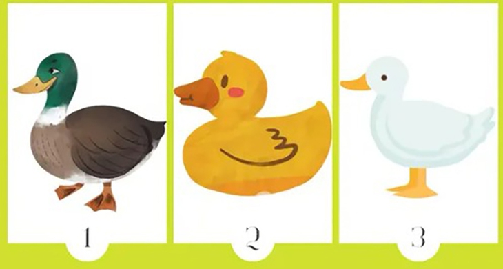 quiz - Ảnh 1.