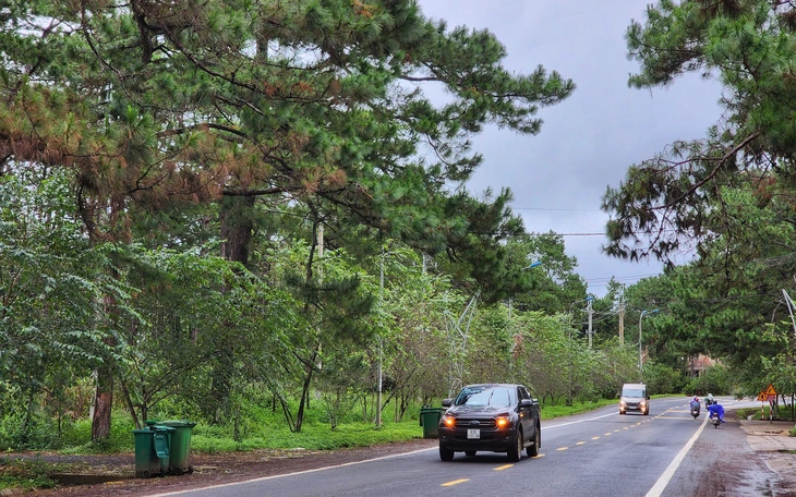 Lô đất vàng Măng Đen trúng đấu giá rộng 7 mét, đo chưa đầy 6 mét, tại sao? - Ảnh 4.