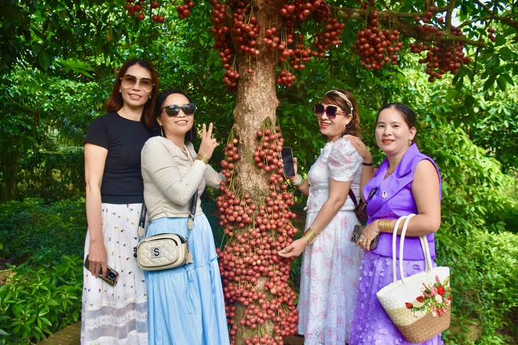 Đắk Lắk - Ảnh 4.