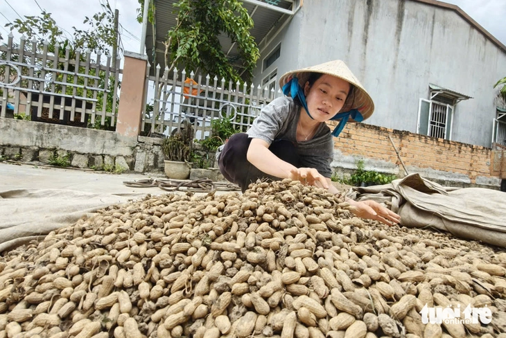 Chăm mẹ mù lòa, làm 'vạn nghề' từ lớp 9, nữ sinh cao nguyên đậu Đại học Công nghiệp TP.HCM - Ảnh 2.