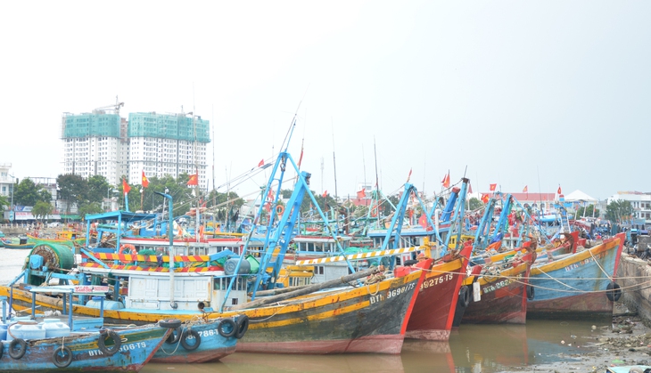 Lâm Đồng - Ảnh 1.