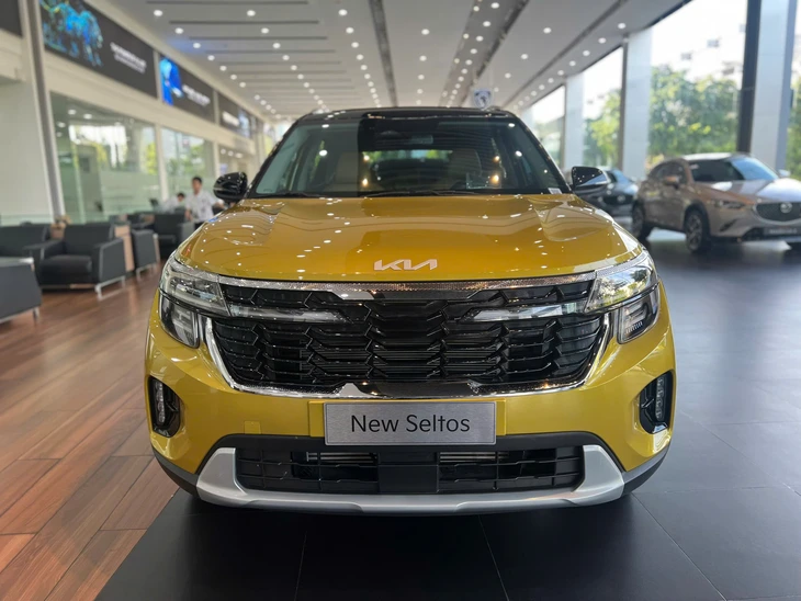 Kia Seltos - Ảnh 2.