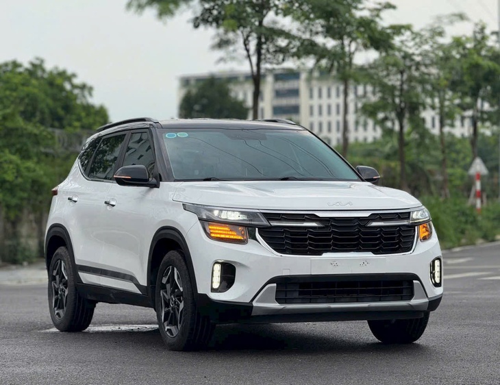 Kia Seltos - Ảnh 3.