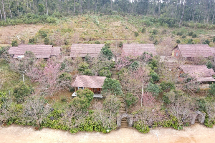 Măng Đen - Ảnh 2.