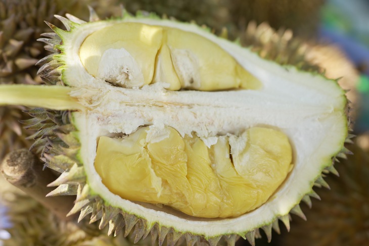 Xã Lâm Sơn, tỉnh Khánh Hòa - Ảnh 2.