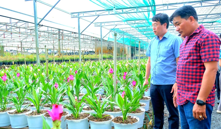 Hoa sen nghệ 3 màu ở làng hoa Sa Đéc hút khách - Ảnh 1.