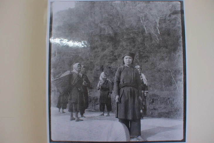 hình ảnh - Ảnh 5.