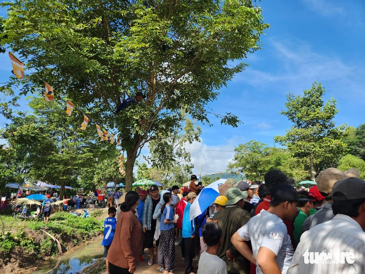 lễ hội đua bò - Ảnh 6.