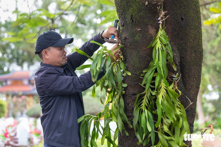 liệt sĩ - Ảnh 1.