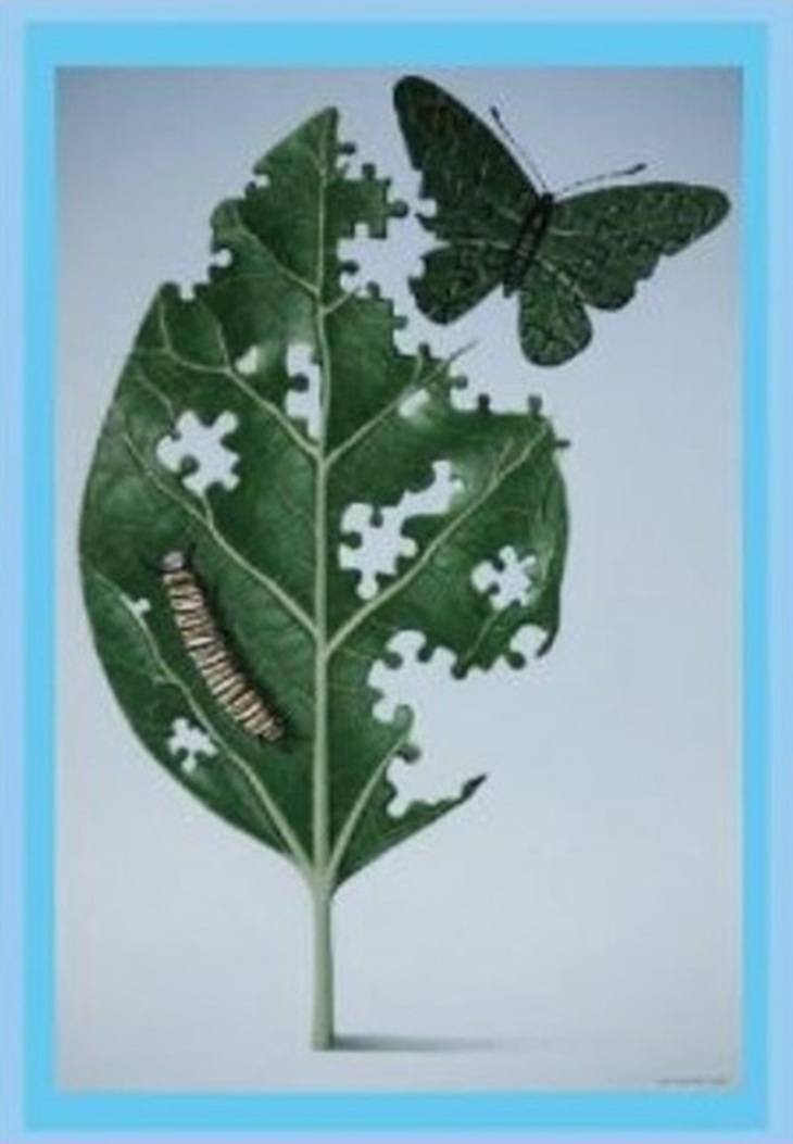 quiz - Ảnh 1.