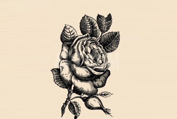 Thử tài tinh mắt - Ảnh 1.