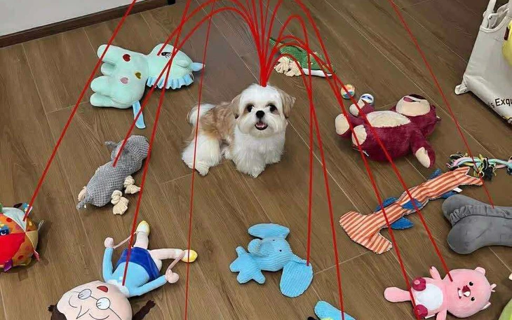 Đua nhau leo 6 ngọn núi để giành học bổng 13 triệu đồng - Ảnh 3.