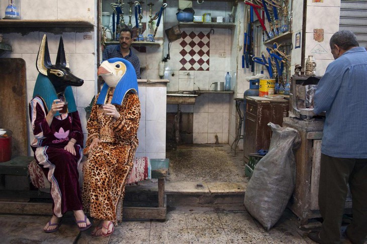 chú chó - Ảnh 3.
