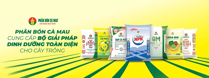 PVCFC (DCM): Tăng trưởng bền vững nhờ chiến lược M&A KVF - Ảnh 2.