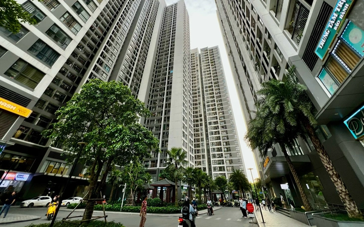 Tin tức sáng 7-8: Xử phạt công ty bầu Đức vì 'ém' thông tin trái phiếu   - Ảnh 1.