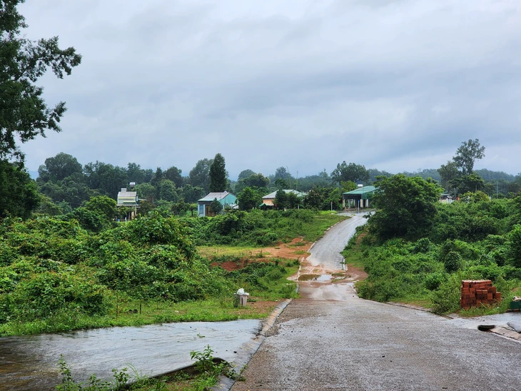 trường học - Ảnh 2.